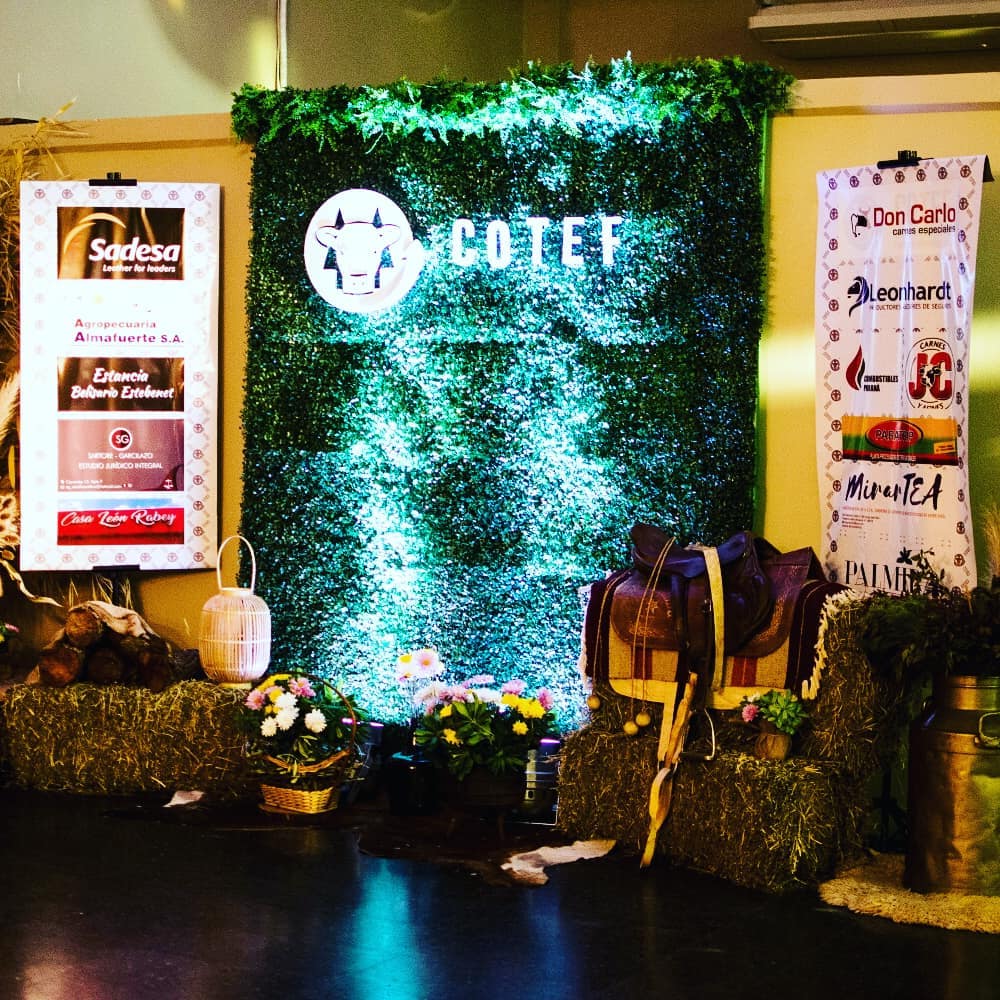 Recuperación del Frigorífico