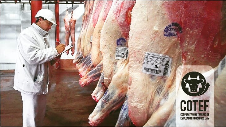 Proyección Internacional